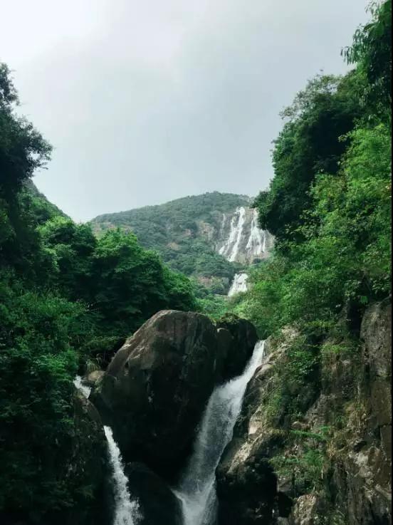 微信图片_20190520101736.jpg